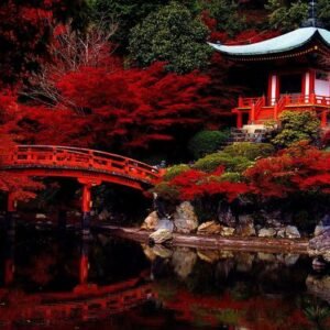 Japan Travel Plan