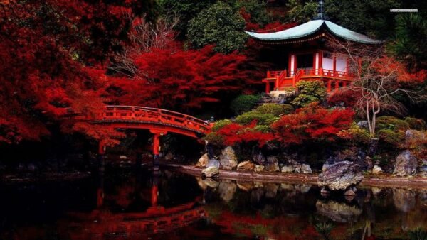 Japan Travel Plan